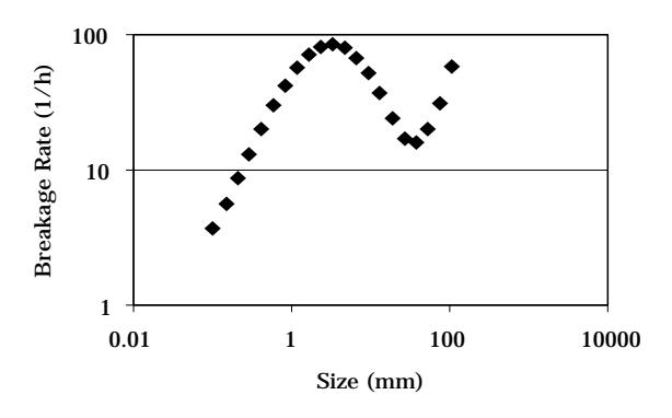 Fig. 2 Breakage Rate Distribution as Obtained by Leung.