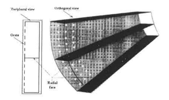 Fig 9 - Two contiguous radial pulp lifters.