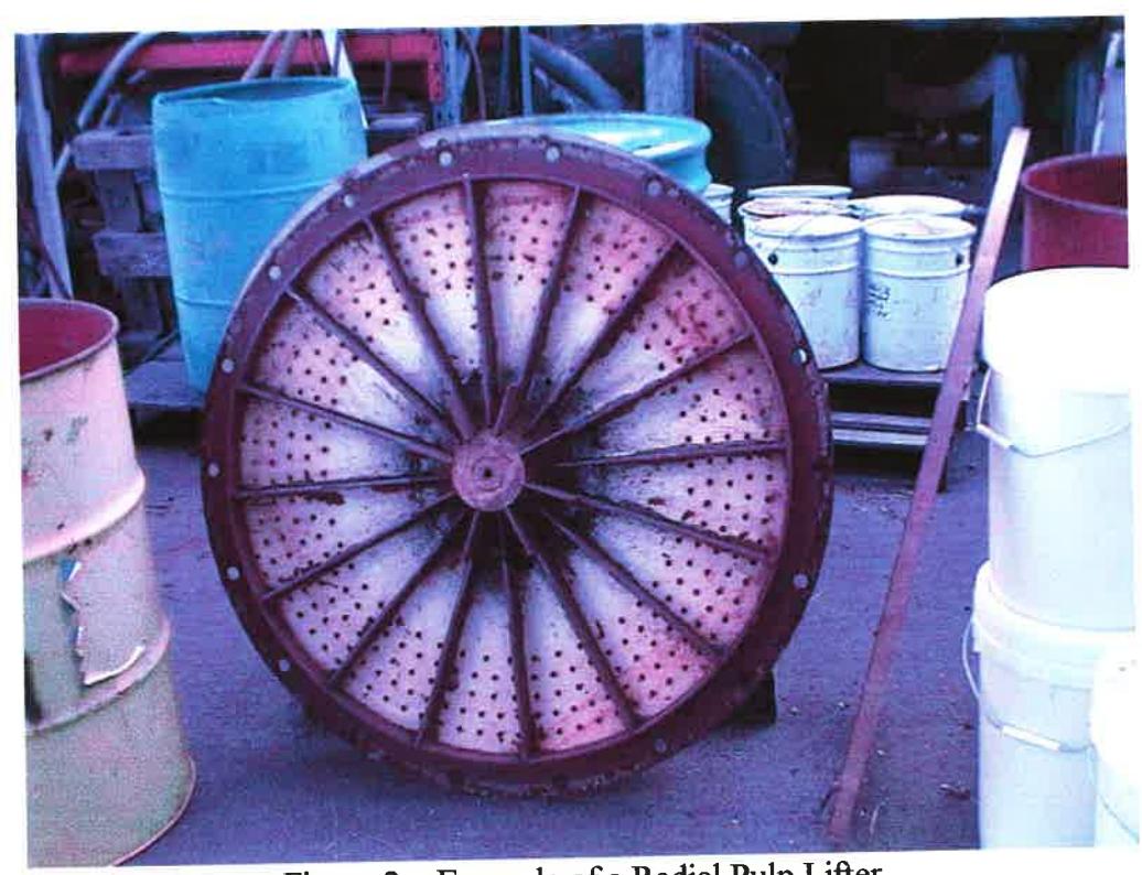 Figure 2 – Example of a Radial Pulp Lifter