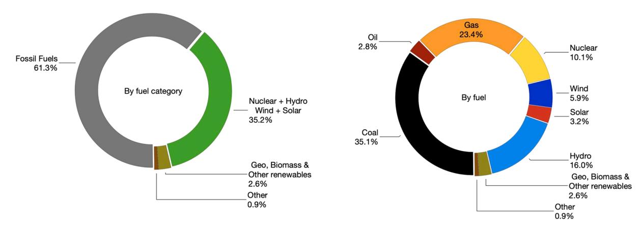 Fig. 2. Global Electricity Generation by Source for 2020 (after World Energy Data, 2021 ).